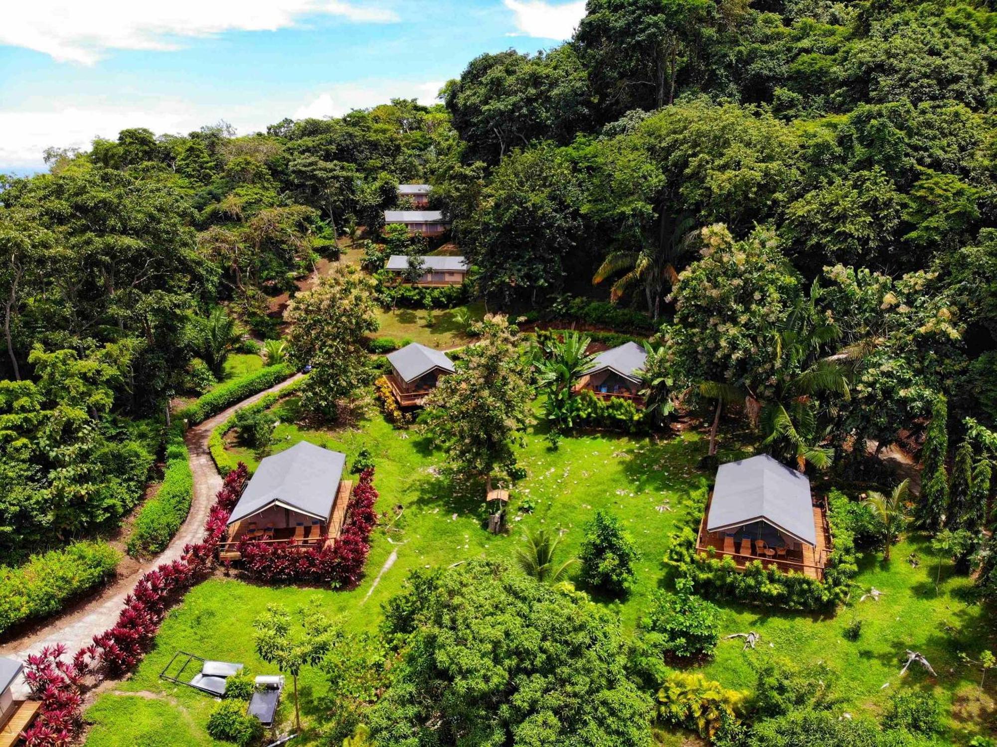 פקוארה Isla Chiquita Glamping Hotel מראה חיצוני תמונה